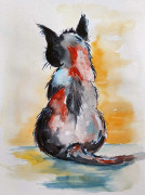 Katzenparadies